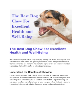 The Best Dog Chew For Excellent Health and Well-Being