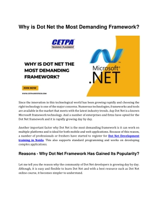 Why Dot Net is the Most Demanding framework_