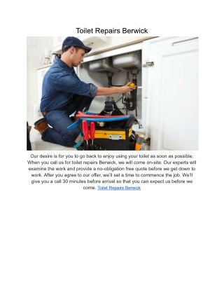 Toilet Repairs Berwick