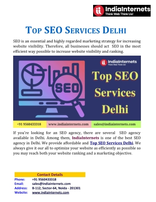 Top SEO Services Delhi