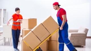 Packers Movers in Noida