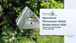 Agricultural Pheromones Global Market Size, Share, By Type, By Function, By Crop Type, By Application, Regional Forecast