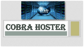 Enjoy Superior, Reliable, and Affordable Web Hosting with Cobra Hoster