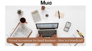 Virtual Accountant for Small Business – How is it beneficial