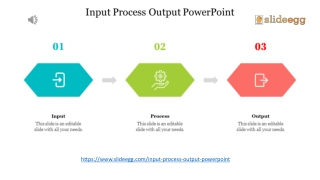 Input And Output Diagram PPT Presentation