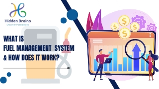 What Is Fuel Management Software System & How Does It Work