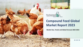 Compound Feed Market