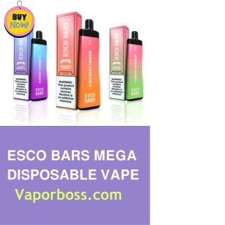 Esco Bars Mega Disposable | 5000 Puffs | 5% Nicotine | $18.77