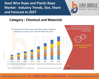Steel Wire Rope and Plastic Rope Market