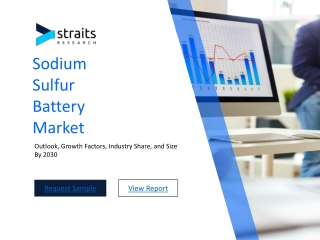 Sodium Sulfur Battery Market