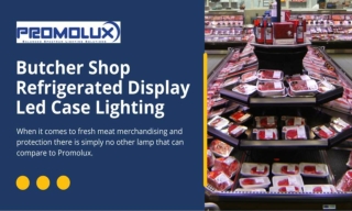 Butcher Shop Refrigerated Display Led Case Lighting