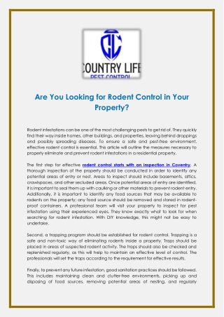Are You Looking for Rodent Control in Your Property