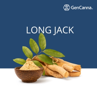 Long Jack- GenCanna