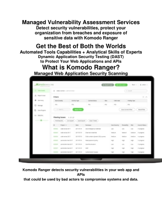 Managed Vulnerability Assessment Services