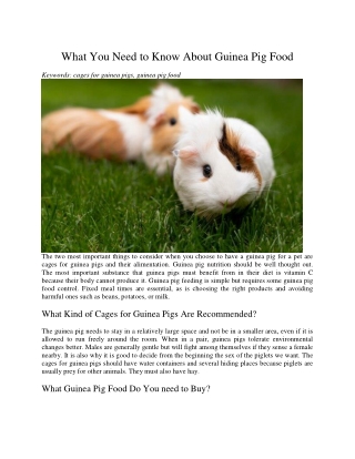 What You Need to Know About Guinea Pig Food