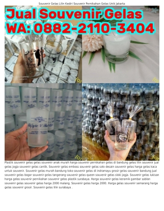 O882·2IIO·3ㄐOㄐ (WA) Gelas Gagang Souvenir Gelas Tinggi