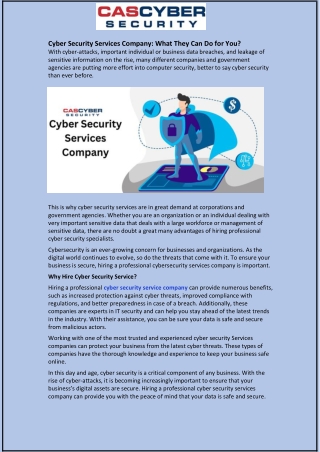 Cyber Security Services Company: What They Can Do for You?