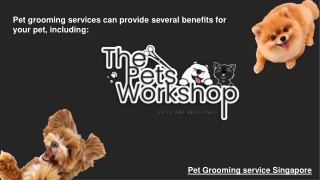 Pet grooming services can provide several benefits for your pet, including