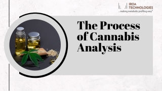 The Process of Cannabis Analysis