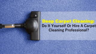 Deep Carpet Cleaning- Do It Yourself or Hire a Carpet Cleaning Professional.