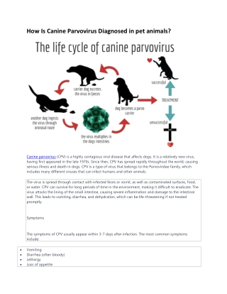 Canine ParvoVirus