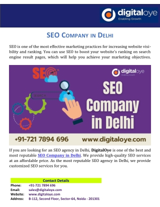 SEO Company in Delhi