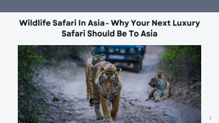 Wildlife Safari In Asia - Why Your Next Luxury Safari Should Be To Asia