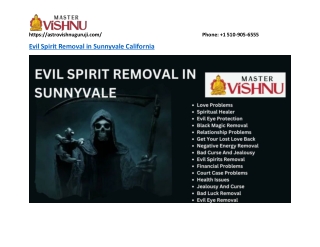 Best Evil Spirit Removal In Sunnyvale California- astrovishnuguruji