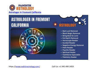 Best Astrologer in Fremont California - nadishastrology