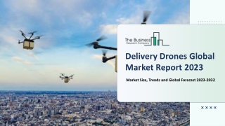 Delivery Drones Market