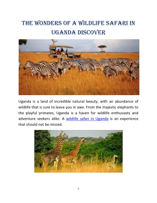 the Wonders of a Wildlife Safari in Uganda Discover