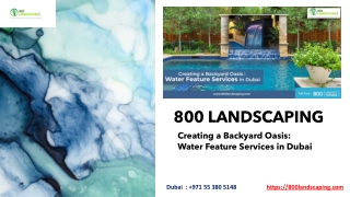 Creating a Backyard Oasis- Water Feature Services in Dubai