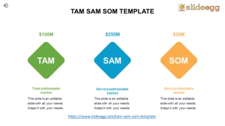 TAM SAM SOM Templates