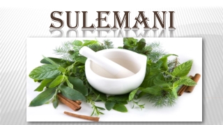 Herbal Medicines Nature's Remedies - Sulemani
