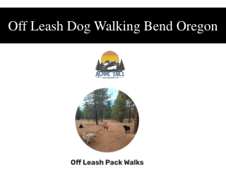 Off Leash Dog Walking Bend Oregon