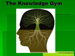 The Knowledge Gym