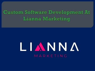 Custom Software Development At Lianna Marketing