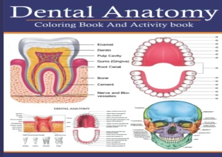 PDF Dental Anatomy Coloring Book And Activity Book: A Dental Anatomy And Physiol