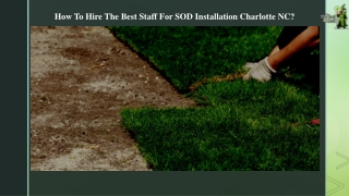 How To Hire The Best Staff For SOD Installation Charlotte NC