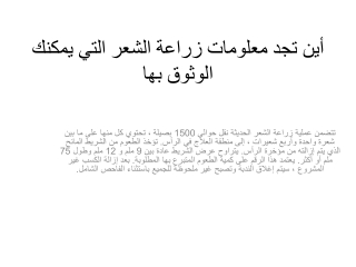 أين تجد معلومات زراعة الشعر التي يمكنك الوثوق بها