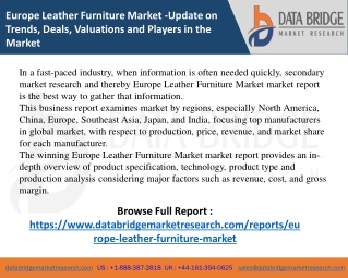 Europe Leather Furniture Market