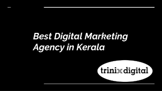 Best Digital Marketing Agency in Kerala