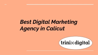 Best Digital Marketing Agency in Calicut