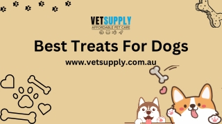 Dog treat | Treats for dogs | Dog treat toys | VetSupply | Starting From $7.27 W