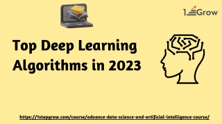 Top Deep Learning Algorithms in 2023