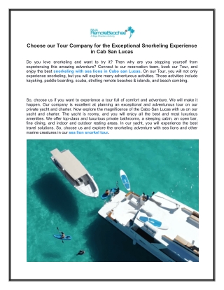 Choose our Tour Company for the Exceptional Snorkeling Experience in Cab San Lucas