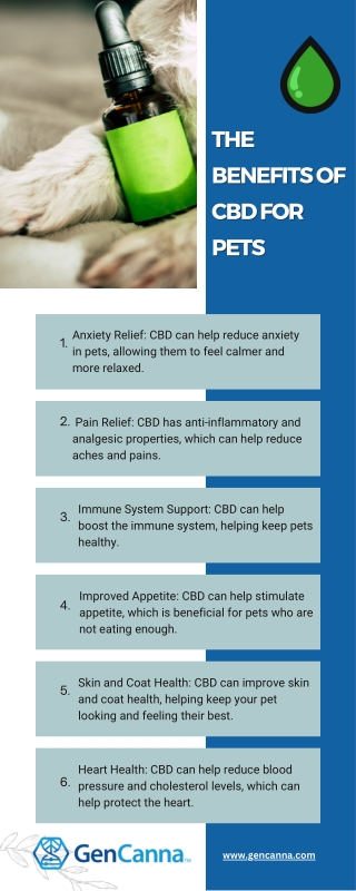 The Benefits of CBD for Pets