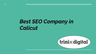 Best SEO Company in Calicut