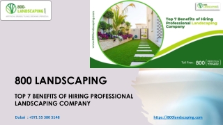 Top 7 Benefits of Hiring Professional Landscaping Company