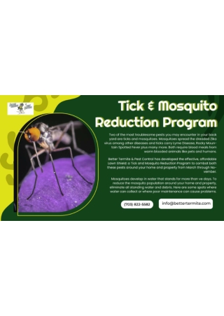 Tick Treatment In Virginia - Bettertermite